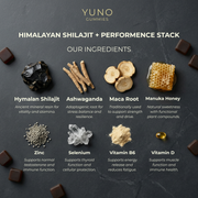 Shilajit Gummies