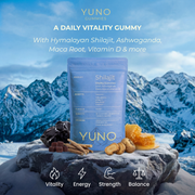 Shilajit Gummies